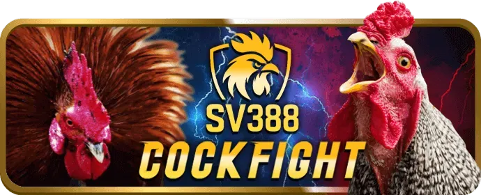 Hình ảnh minh họa truy cập trang chủ bet365vnd